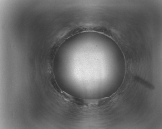 X0000063491253200602031942