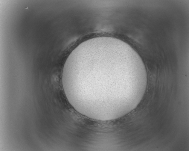 X0000063491254200602031942