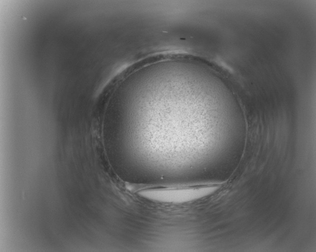 X0000063491255200602031942