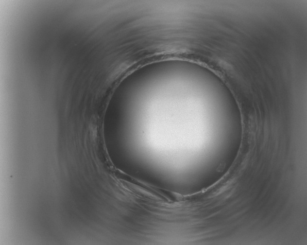 X0000063491257200602031942