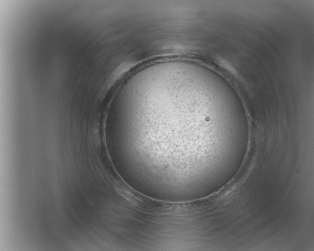 X0000063491259200602031942