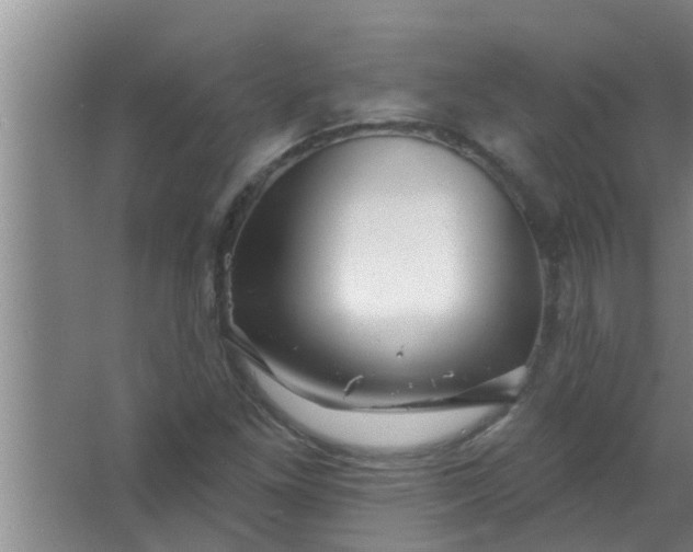 X0000063491261200602031942