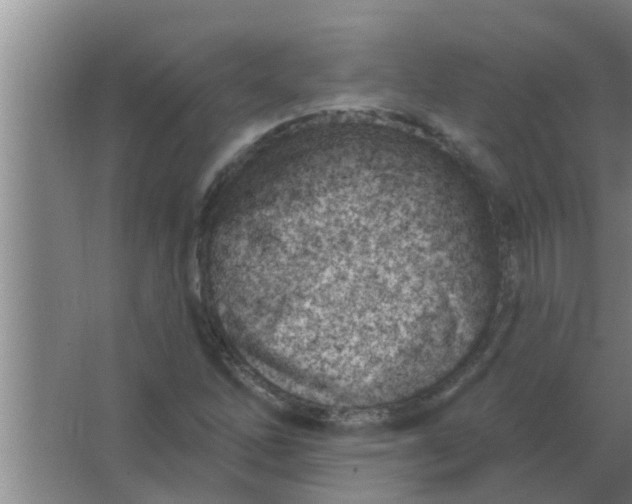 X0000063491262200602031942