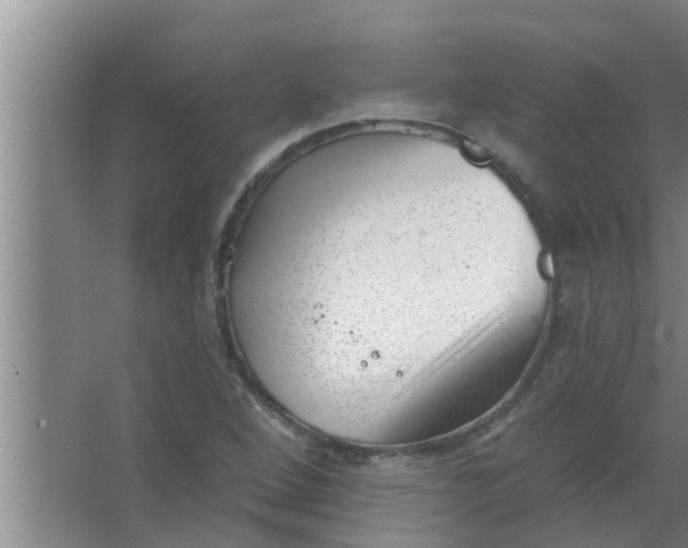 X0000063491264200602031942