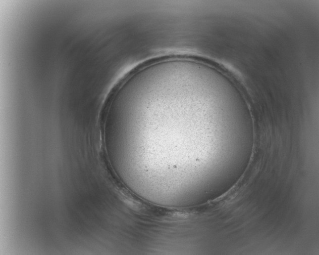 X0000063491271200602031942