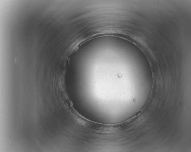 X0000063491273200602031942