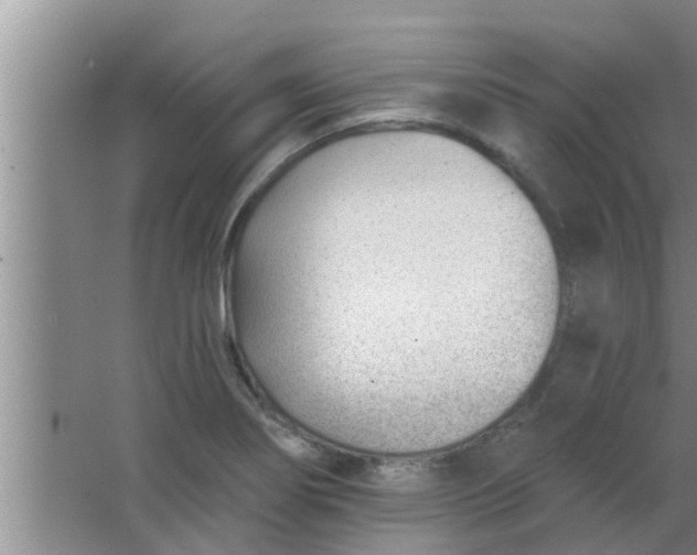 X0000063491274200602031942