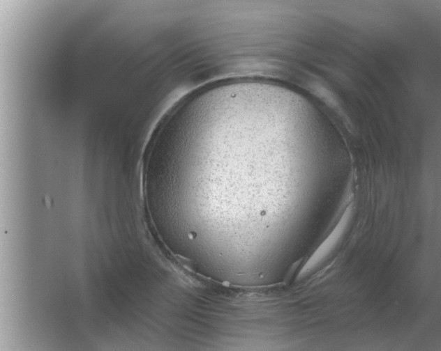 X0000063491275200602031942