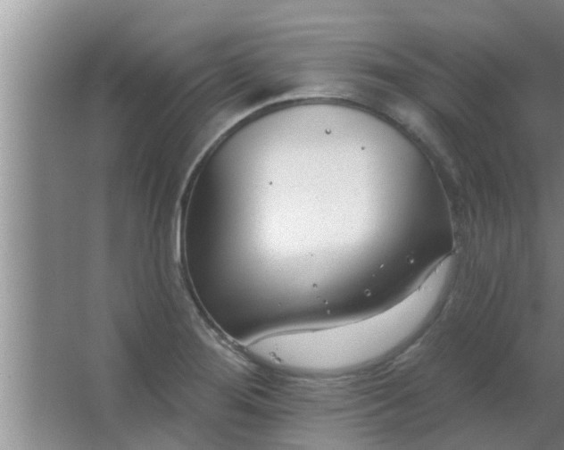 X0000063491276200602031942