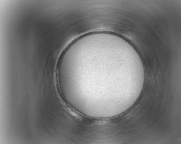 X0000063491278200602031942