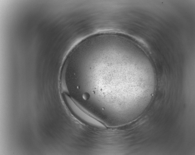 X0000063491279200602031942