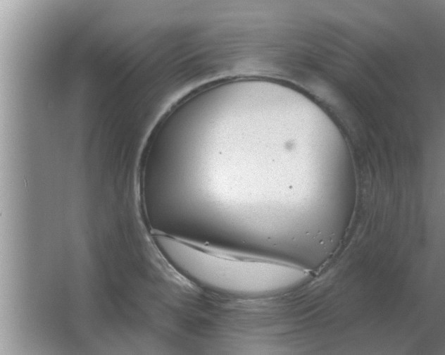 X0000063491280200602031942