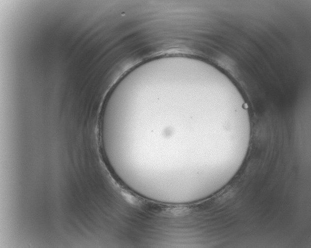 X0000063491282200602031942