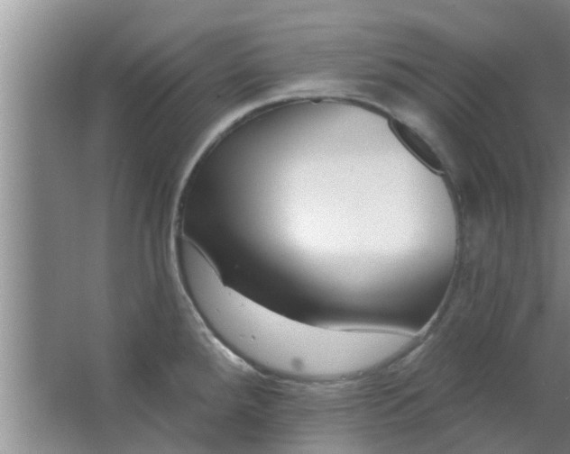 X0000063491288200602031942