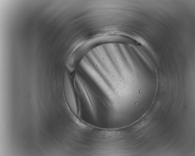 X0000063491289200602031942