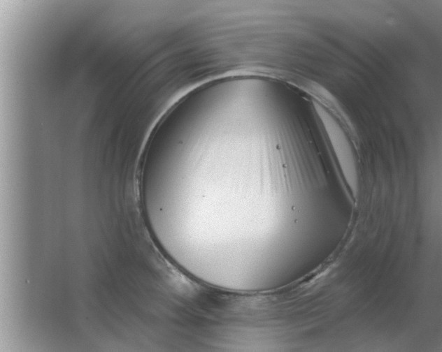 X0000063491292200602031942