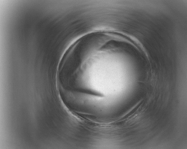 X0000063491295200602031942