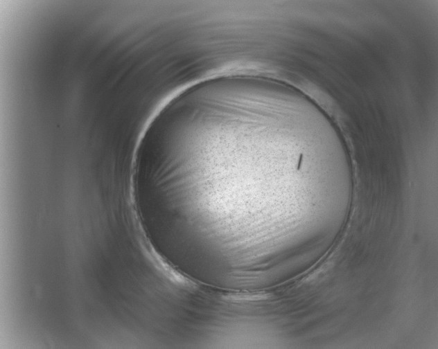 X0000063491296200602031942