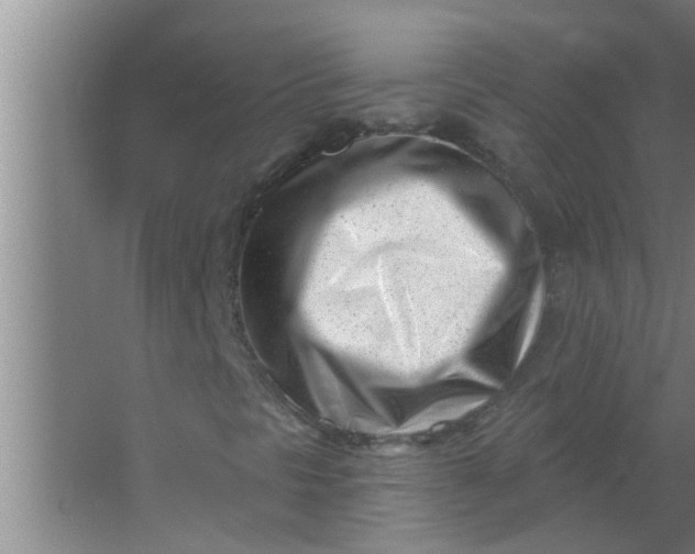 X0000063491297200602031941