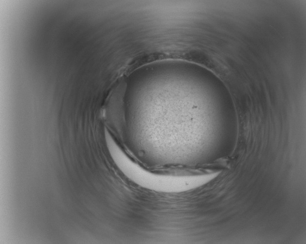 X0000063491298200602031941