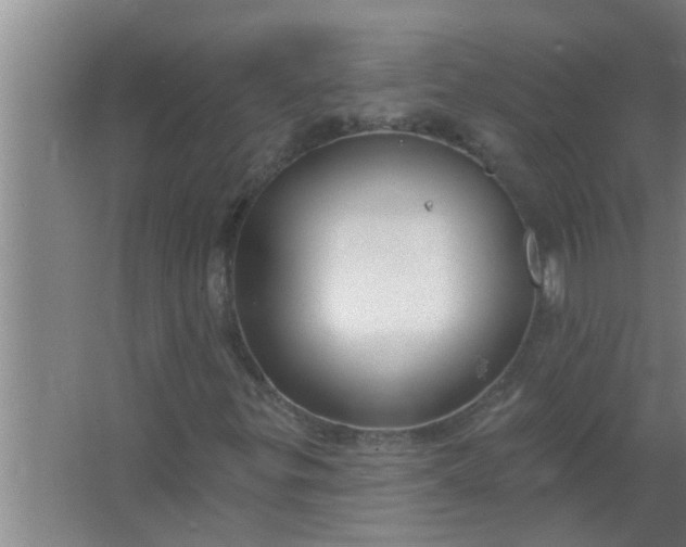 X0000063491299200602031941