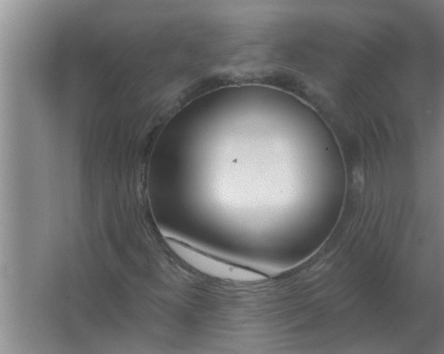 X0000063491300200602031941