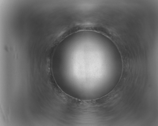 X0000063491301200602031941