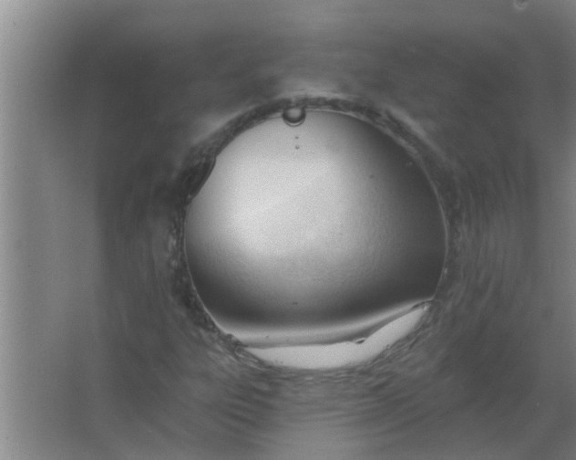 X0000063491303200602031941