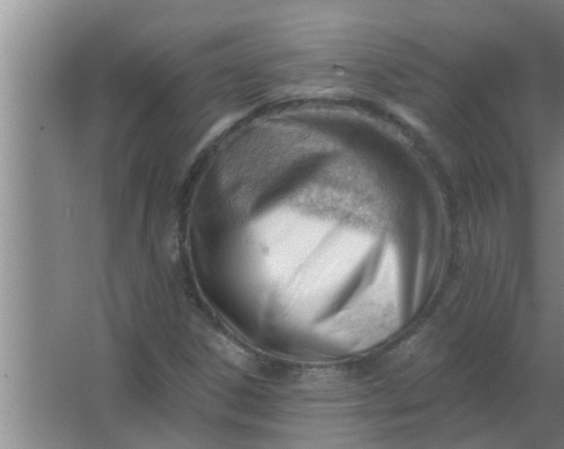 X0000063491306200602031941