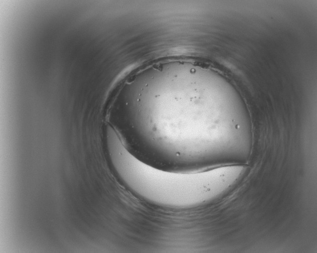 X0000063491314200602031941