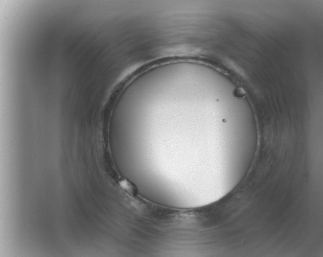 X0000063491315200602031941