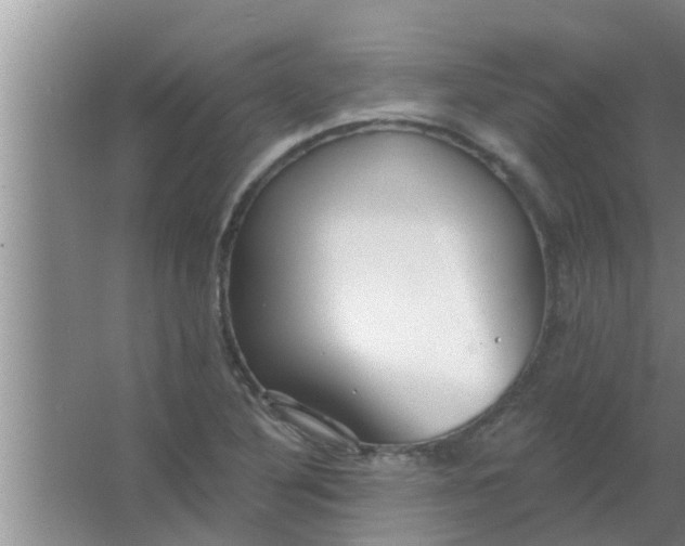 X0000063491316200602031941