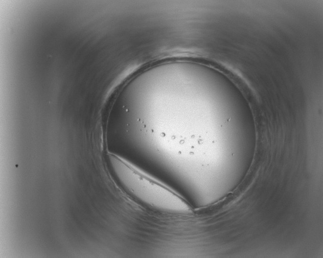 X0000063491317200602031941