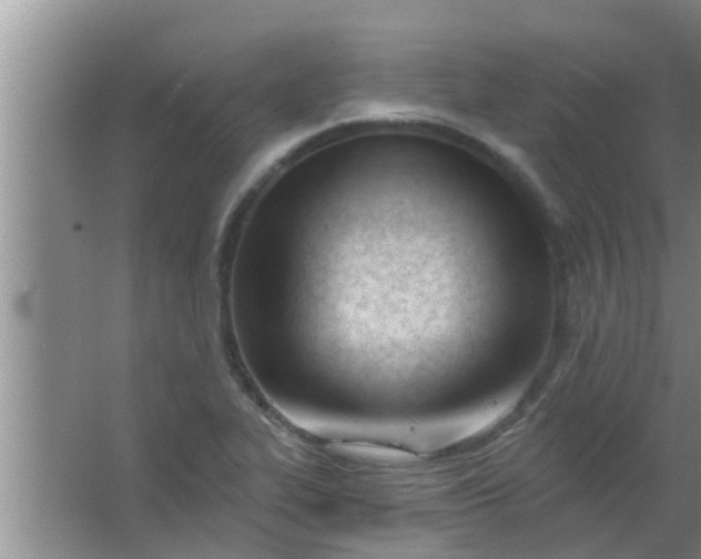 X0000063491319200602031941