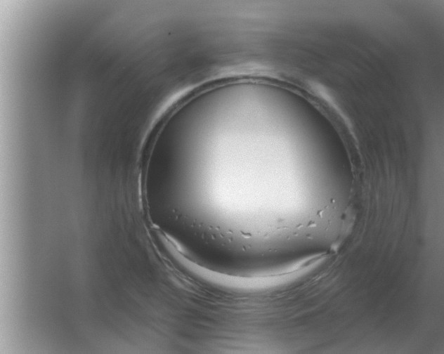 X0000063491320200602031941