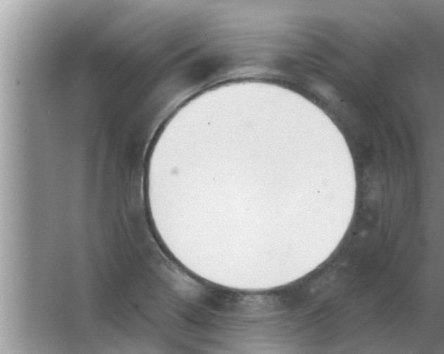 X0000063491322200602031941