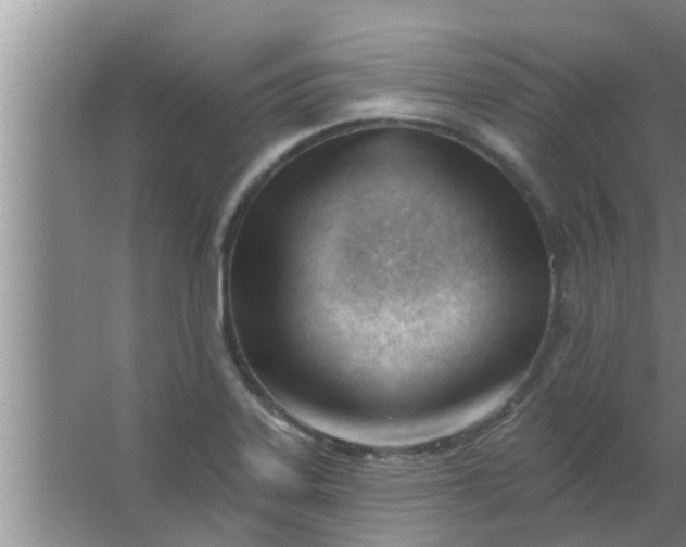 X0000063491323200602031941