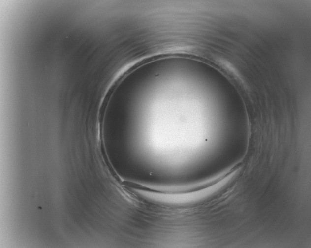 X0000063491324200602031941