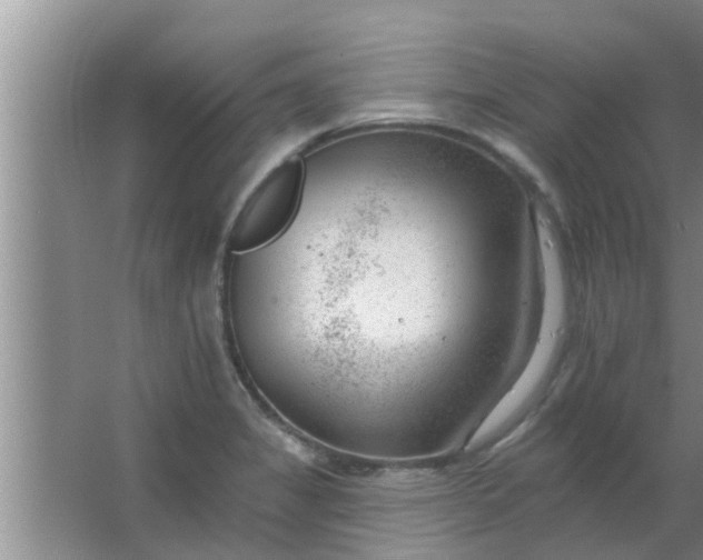 X0000063491325200602031941