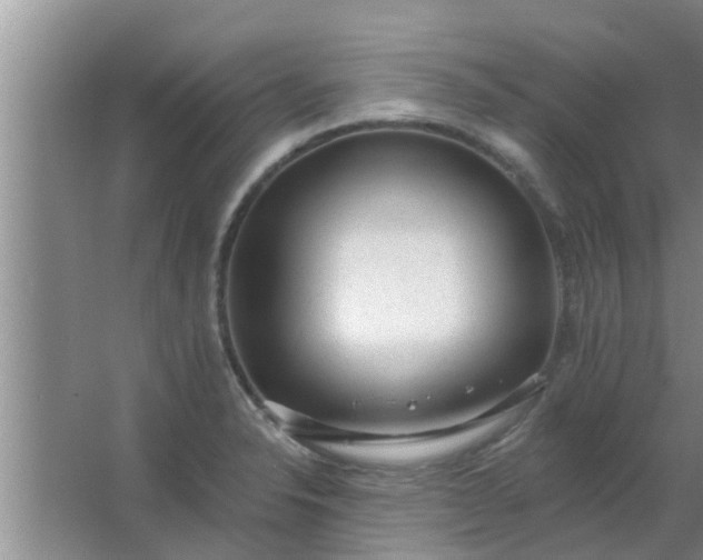 X0000063491326200602031941