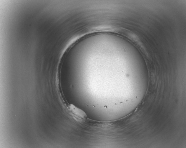 X0000063491328200602031941