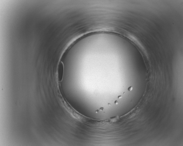 X0000063491332200602031941