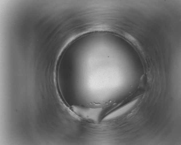 X0000063491334200602031941