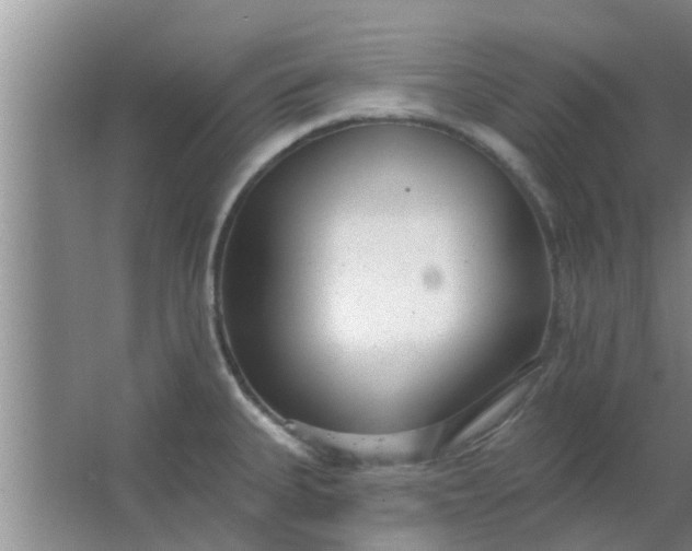 X0000063491335200602031941