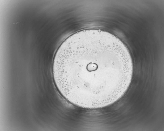 X0000063491338200602031942