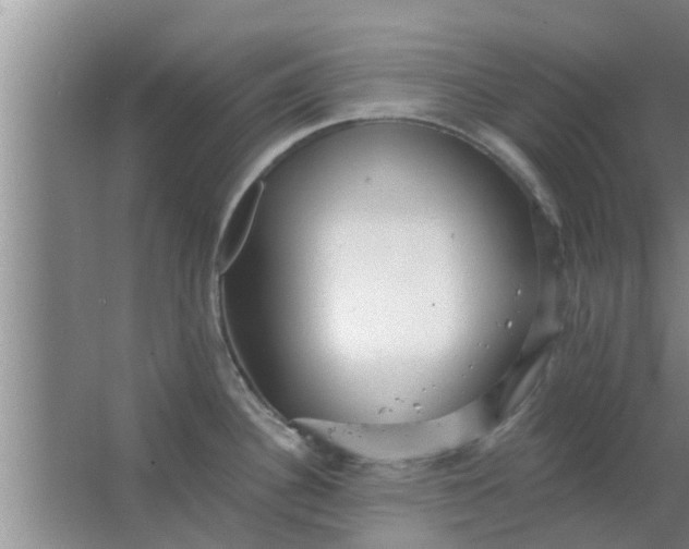 X0000063491340200602031942