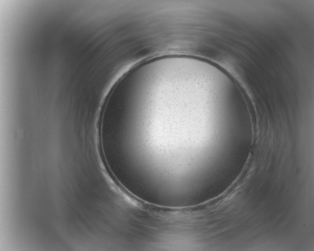 X0000063491341200602031942