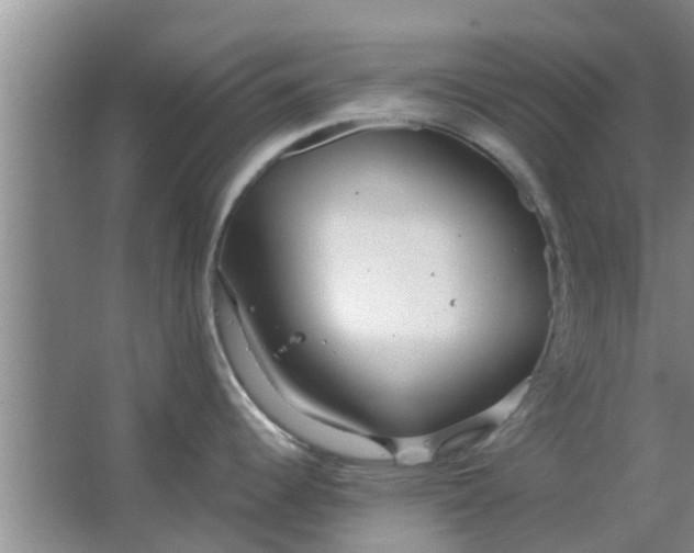 X0000063491344200602031942