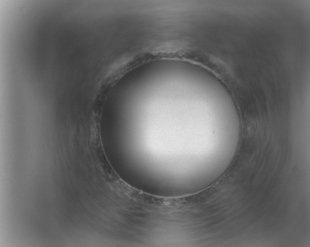 X0000063491350200602031941