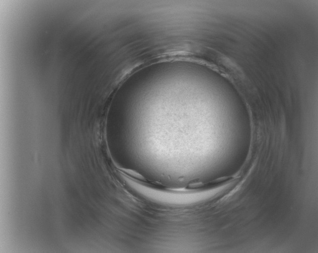 X0000063491353200602031941